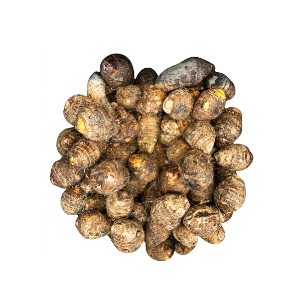 Coco Yam